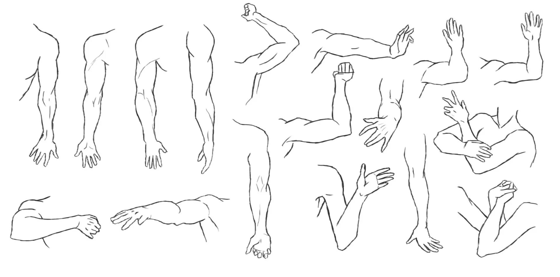 Рука в локте референс. Рука до плеча референс. Согнутая рука. Анатомия рук для рисования.