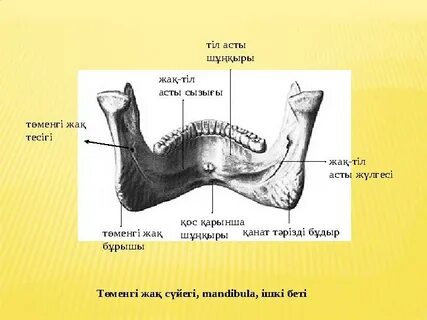 Ауылдағы пішенде жалаңаш видео