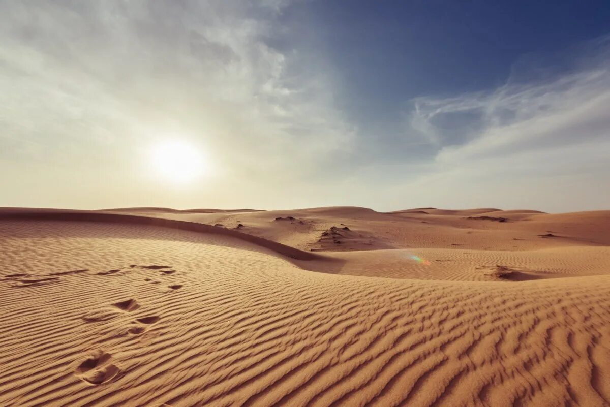 Песчаные дюны рын-Песков. Барханы Прикаспийской низменности. Дюны Прикаспийской низменности. Эль ХАМРА пустыня.