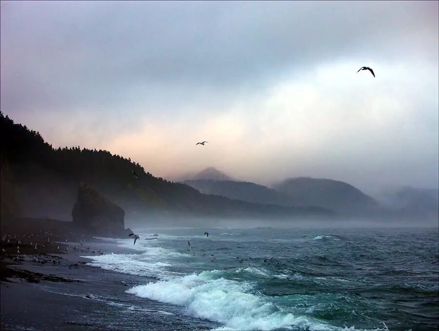 Туманный восток. Река туманная приморский край. Раннее утро. Туманный рассвет. Туманный восток.