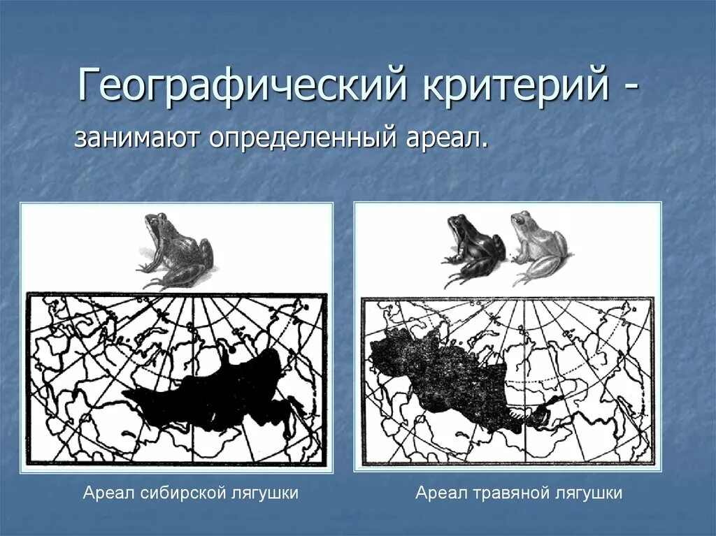 Примеры эколого географического критерия. Экологический критерий. Примеры эколого географического критерия. Примеры эколого географического критерия. Примеры эколого географического критерия.
