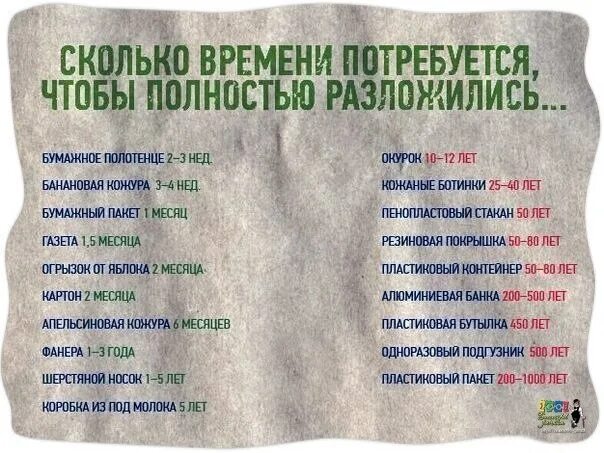 Через сколько лет начинается. За сколько разлагается человек. За сколько разлагается тело.