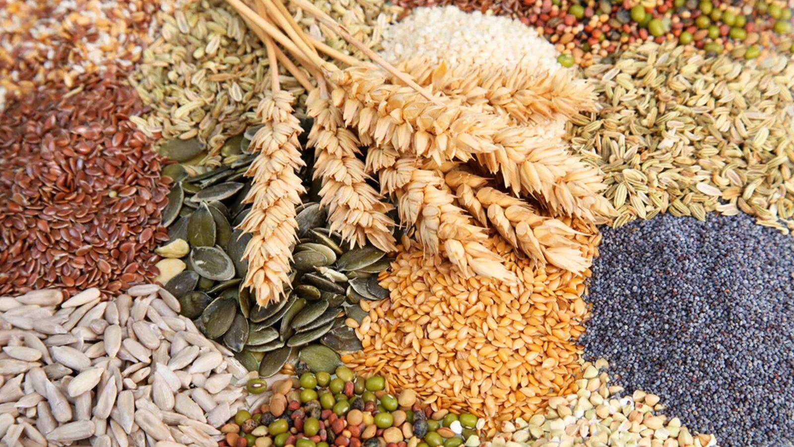 Сельскохозяйственное и растительное сырье. Продукты сельского хозяйства. Сельское хозяйство состоит из. Растительное сырье для промышленности. Сельскохозяйственное и растительное сырье.