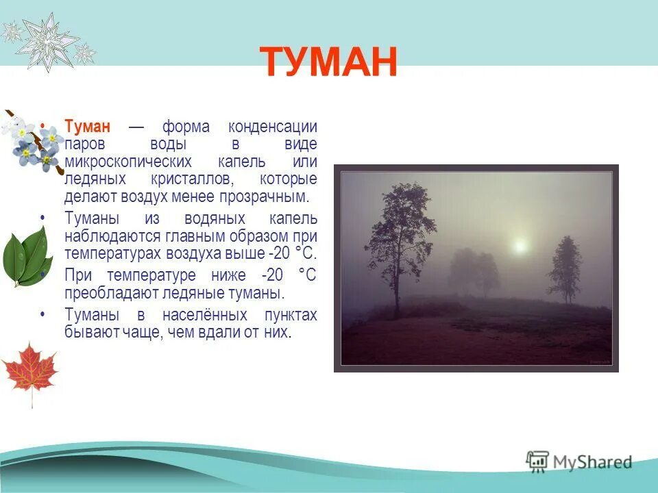 Определение слова туман. Доклад про туман. Природное явление туман описание. Туман краткое описание. Туман для презентации.