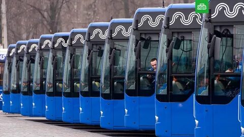 Меняются автобусы