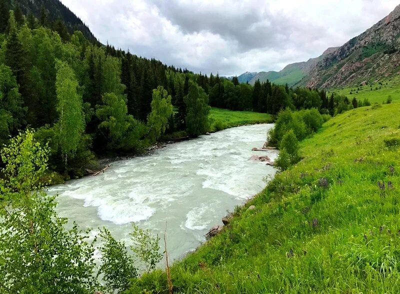 Самая большая река казахстана. Река тентек в Казахстане. Джунгарский Алатау горные реки тентек. Долина реки Каратал. Семиреченский Алатау.