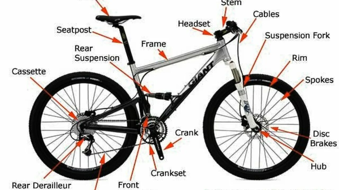 Номер английский велосипед. Как определить женский и мужской MTB байк. Bike frame l and m differences on MTB. Rear frame. Как переводится bike