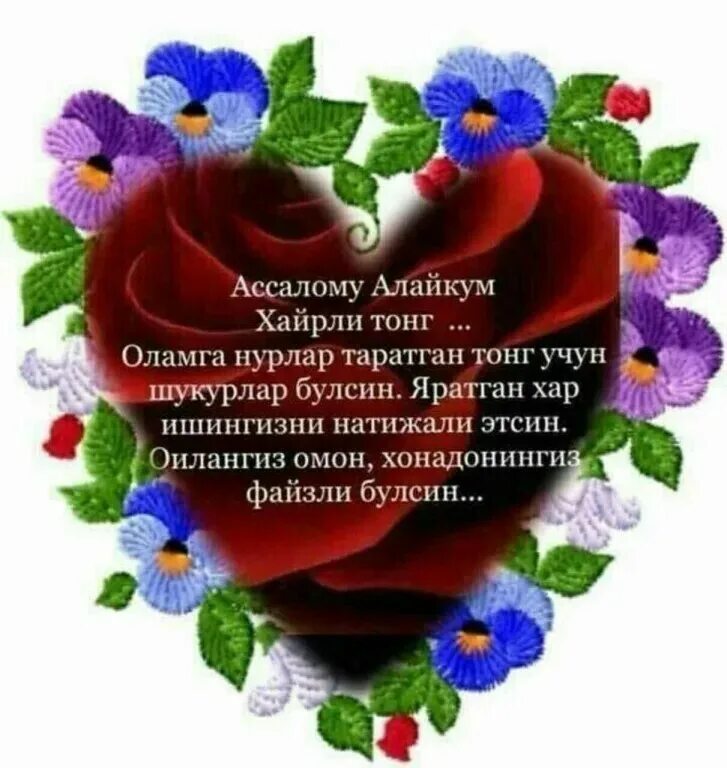 Кун ботиб осмонда ой тулган замон мп3. Хайрли тонг. хайрли тонг хайрли кун. хайирли тонг табриклари. хайрли тонг картинка.