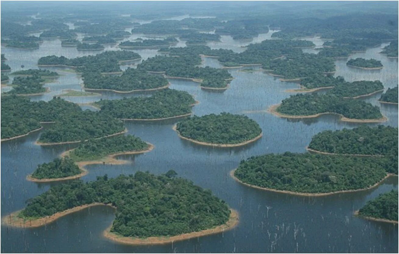 Амазония река Амазонка. Амазонка река Укаяли. Бассейн реки Амазонка. Устье реки Амазонка. Самая большая река в бразилии