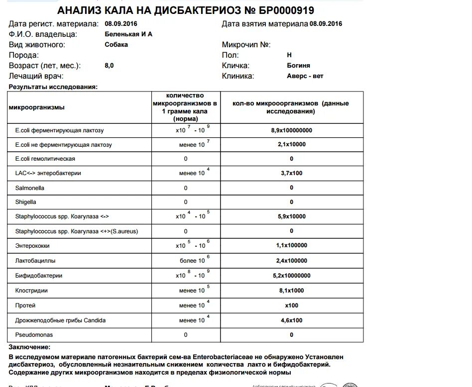 Почему долго делают анализ. Анализ кала на дисбактериоз расшифровка у детей. Кал на дисбактериоз кишечника норма. Анализ кала на дисбактериоз таблица норма. Проведите оценку результата анализа кала на дисбактериоз.