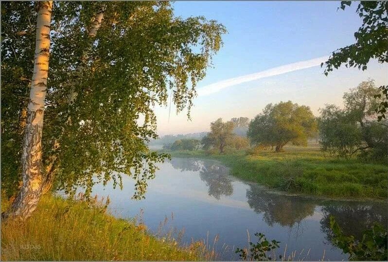 Эх березы. Красота русской природы. Родина природа. Красота родной земли. Родной край.