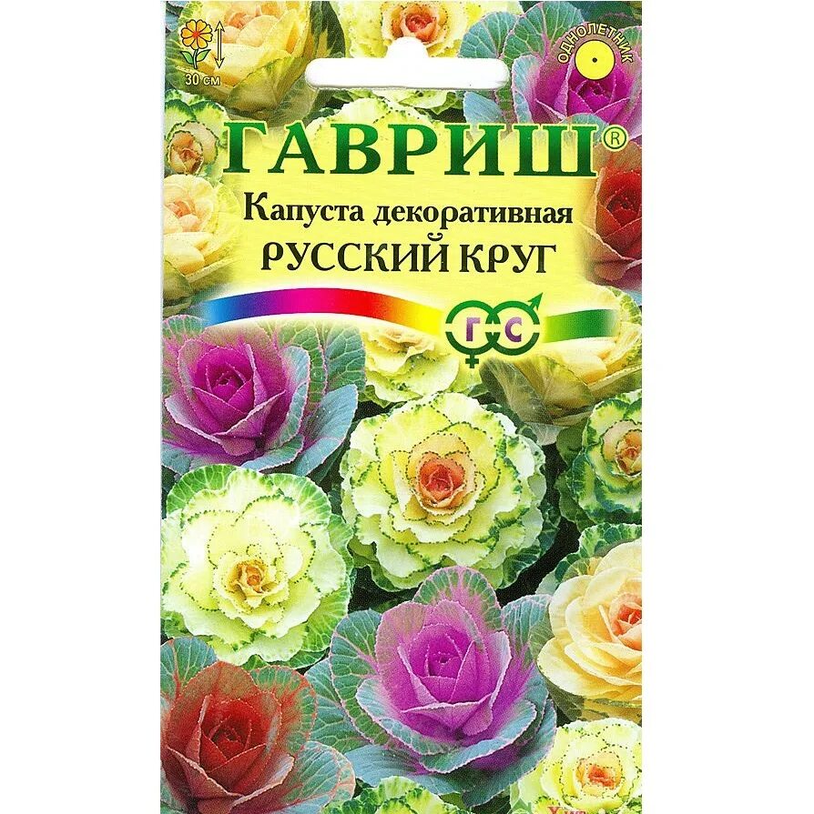 Капуста декоративная русский круг гав. Капуста декоративная русский круг ,смесь. Капуста декор. Капуста декоративная русский круг гав. Капуста декоративная салют (гавриш) ц.