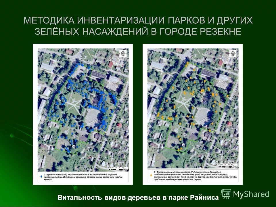 Инвентаризация зеленых насаждений. Зеленые насаждения для презентации. Ведомость инвентаризации зеленых насаждений. Роль зеленых насаждений. Роль зеленых насаждений в городе.