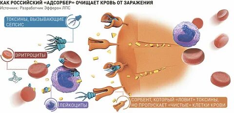 Как называется заражение