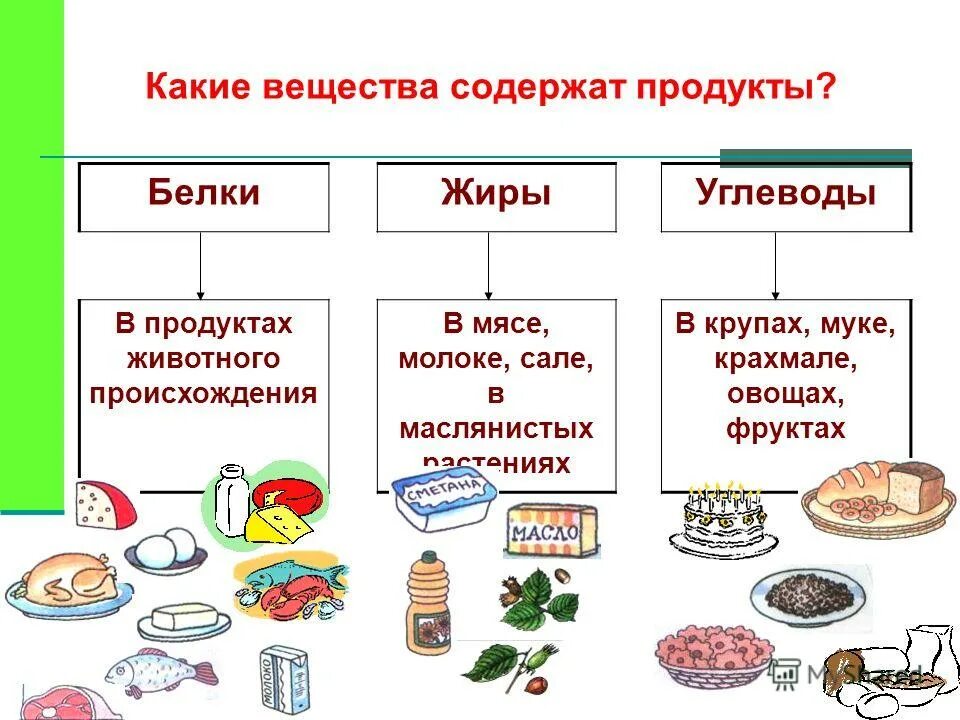 Назовите продукты общества