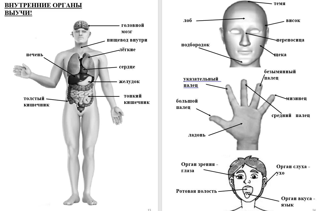 Про впр 4 класс