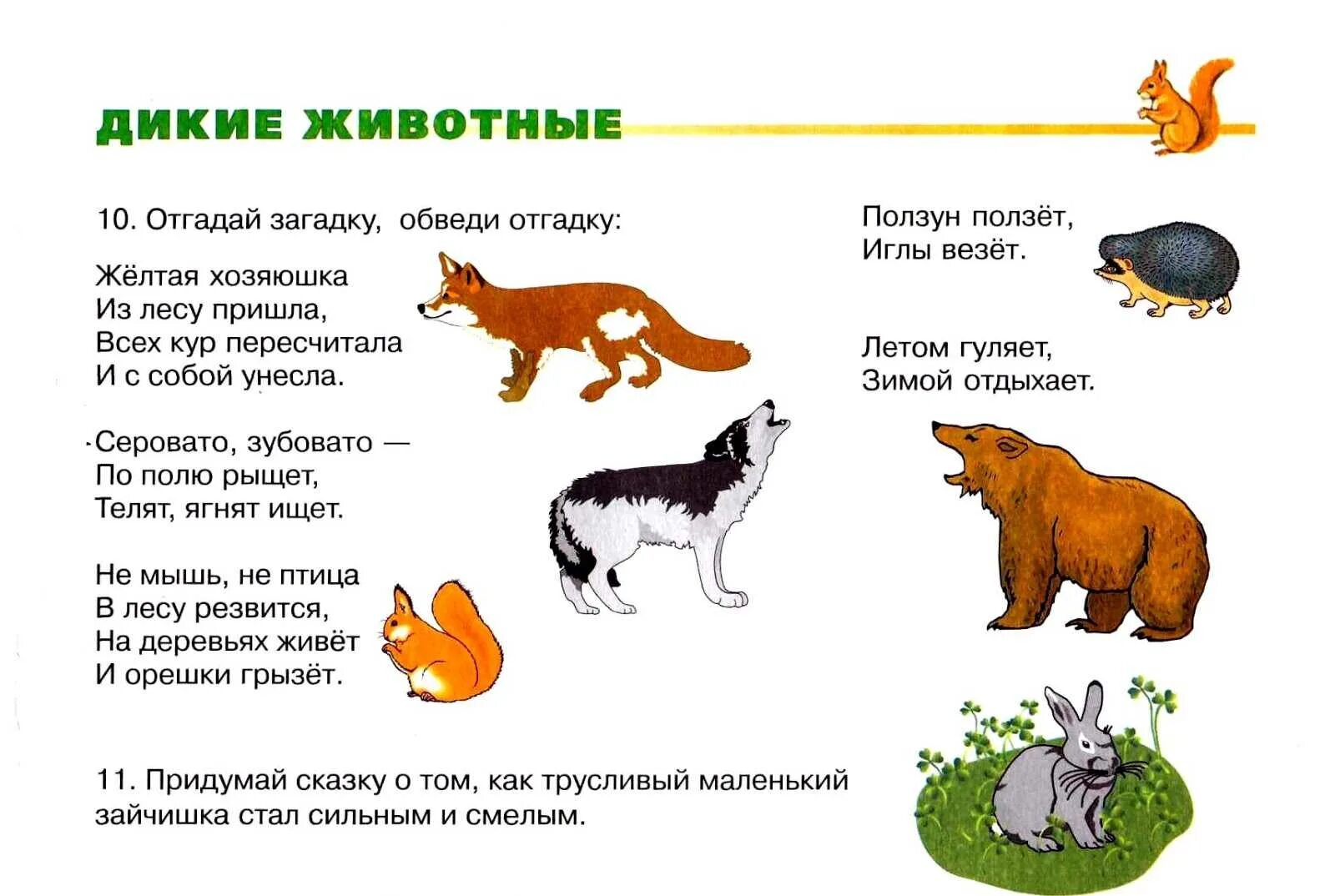 О животных для детей 3 класс. Загадки про диких животных для дошкольников 4-5. Загадки о диких животных для дошкольников 5-6. Загадки про лесных зверей для детей 6-7. Загадки про диких и домашних животных для дошкольников.