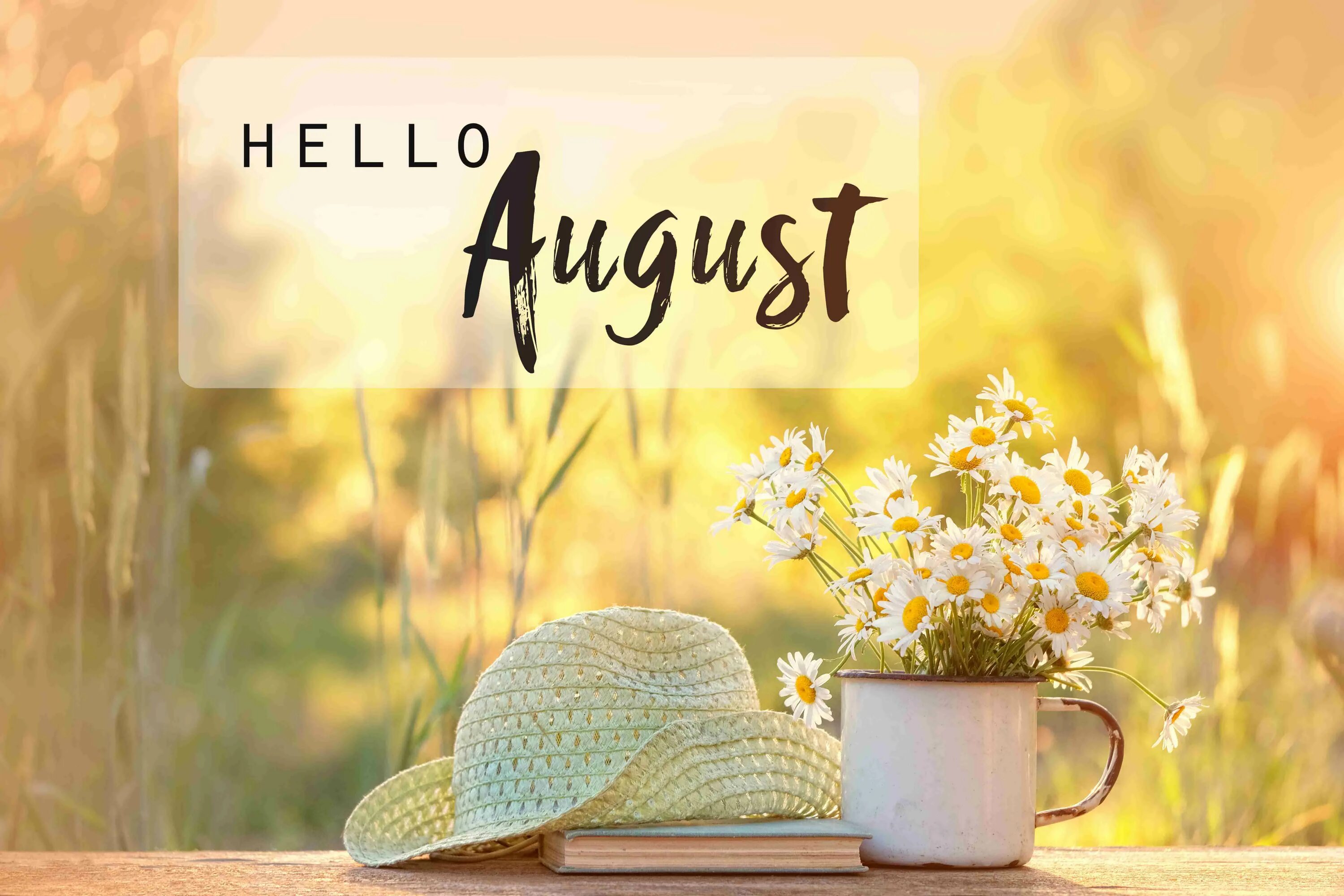 Hello we 4. Хелло август. Hello август картинки. Hello August обои. Hello August картинки красивые.
