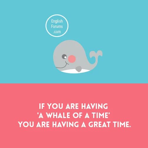 Are you having a good time перевод. Whale of a time идиома. Have a Whale of a time идиома. A Whale of a time перевод идиомы. A Whale of a time 7 класс Spotlight.