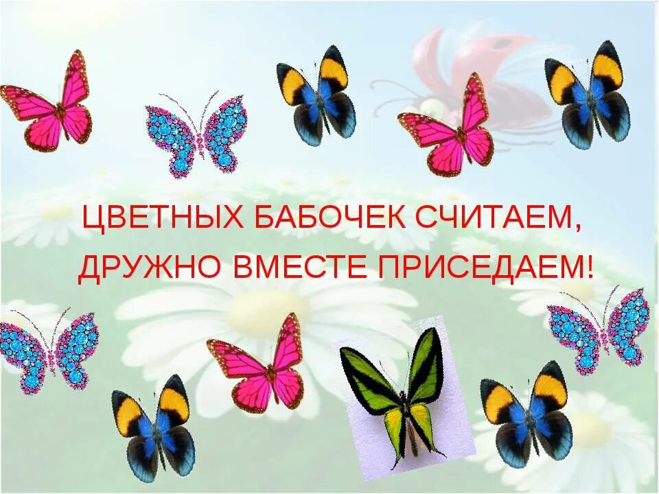 Презентация в мире бабочек. Считаем бабочек. Разноцветная бабочка Легенда. Бабочки давай посчитаем бабочки. Кратко разноцветная бабочка