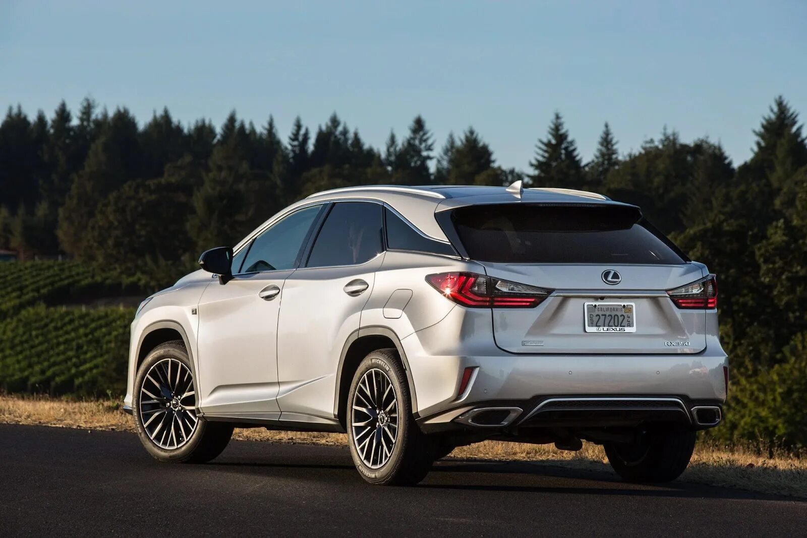 Lexus rx фото. Lexus rx300 f Sport 2018. Lexus rx350 f Sport 2017. Лексус РХ 300 F Sport. Lexus RX F Sport 2016.