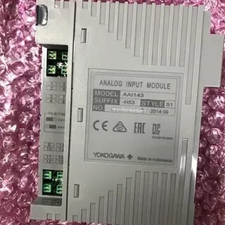 Analog input module