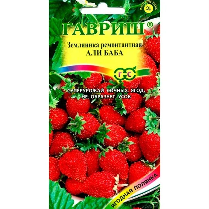 земляника мелкоплодная али-баба. али баба земляника ремонтантная. али баба земляника ремонтантная. баба земляника отзывы. семена земляника али-баба.