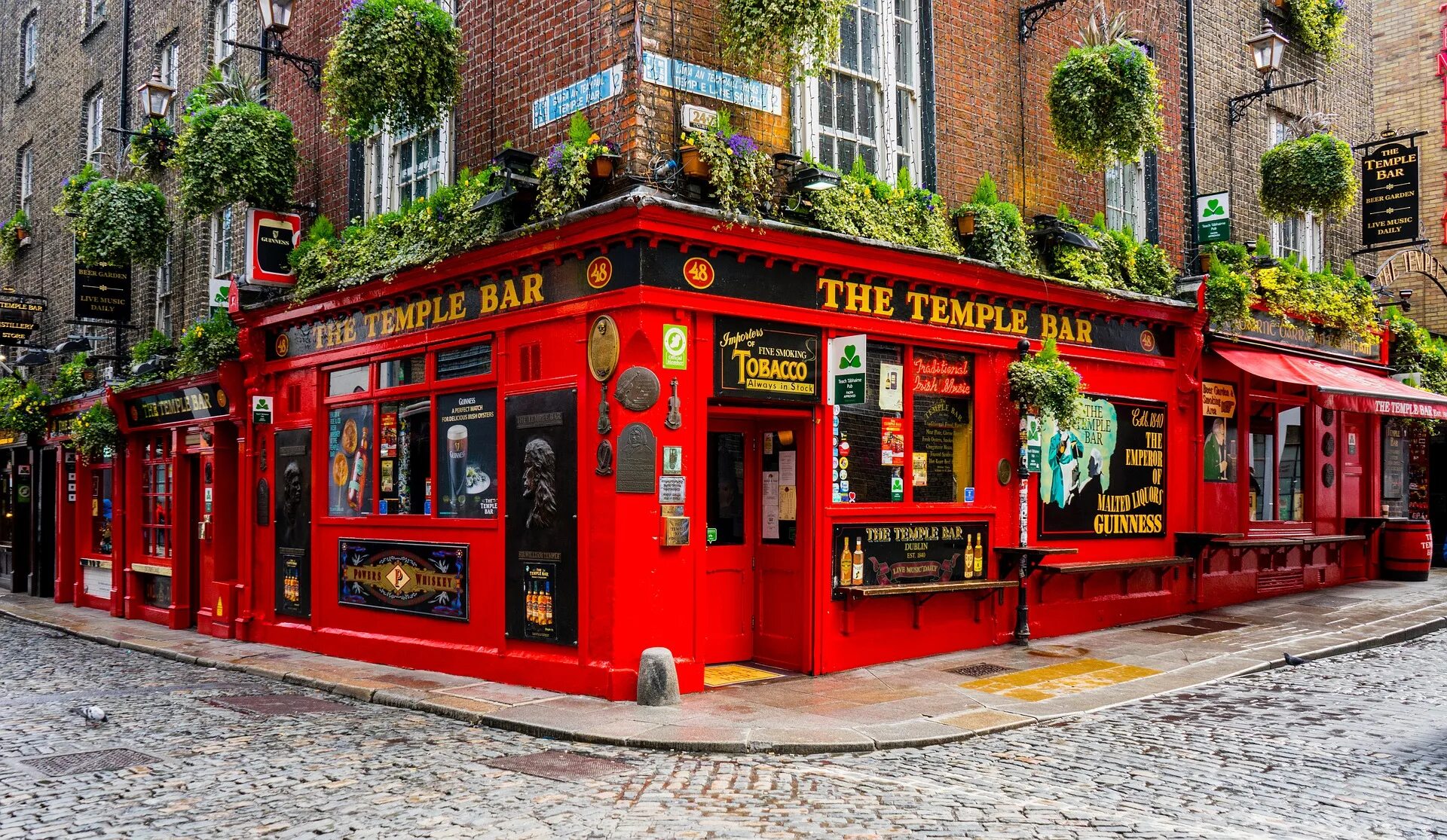 Irish dublin