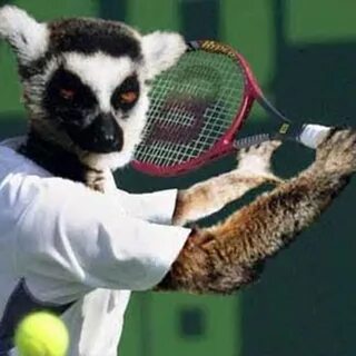 Sports meme