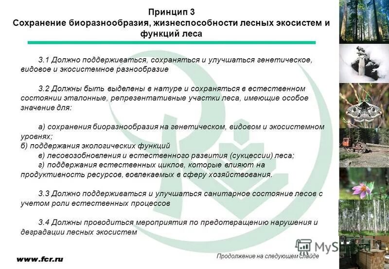 выделена натуре