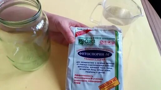 Маточный раствор 3 калийный. Как приготовить маточный раствор фитоспорина. Как приготовить маточный раствор фитоспорина. Фитоспорин готовый раствор. Фитоспорин маточный раствор.