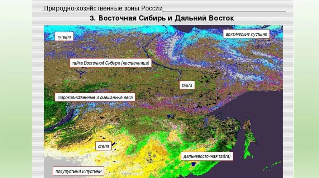 Природно хозяйственные зоны россии вариант 2. Природные зоны дальнего Востока карта. Природные зонвдальнего Востока. Природные зоны Сибири и дальнего Востока. Природные зоны дальнего Востока России.