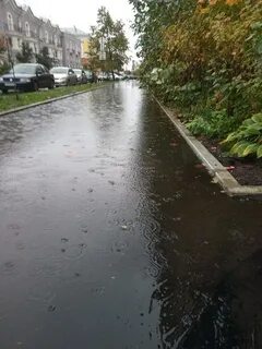 Тротуар дождь