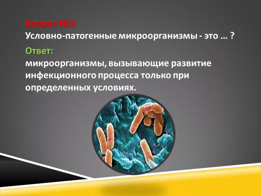 Роль болезнетворных бактерий. Условно-патогенные микроорганизмы. Условно патогенные бактерии. Патогенные и условно патогенные микроорганизмы. Условно-патогенные микробы вызывают.