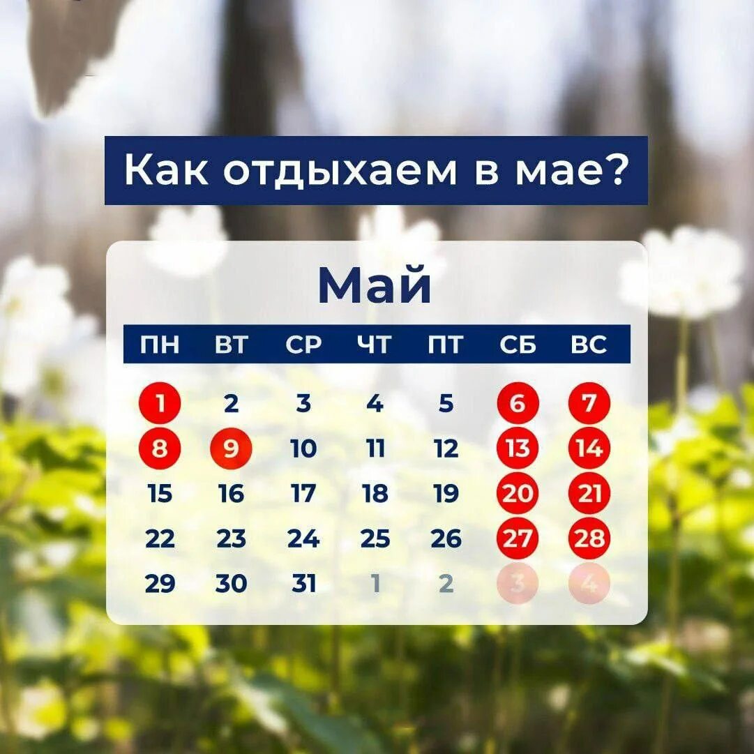 Почему 29 апреля выходной. График отдыха на майские праздники. Майские выходные. Майские праздники в маи. Выходные дни в мае 2022 в днр.