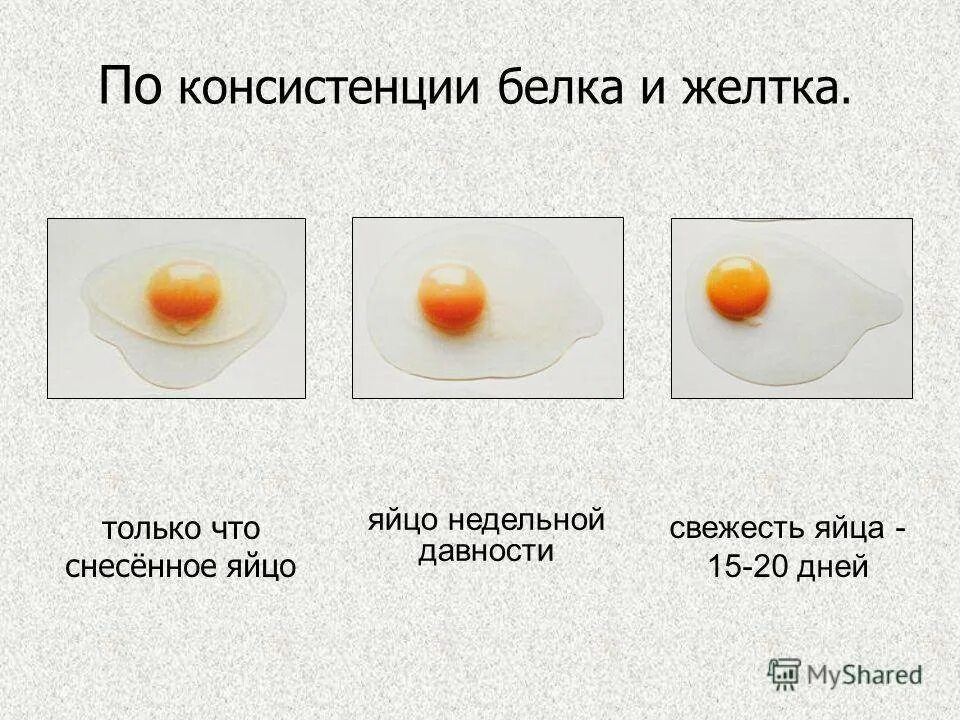 Почему мутные белки яиц. Цвет куриного желтка. Нормальный цвет желтка. Цвет желтка яиц. Желток куриного яйца.