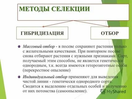 Методы отбора f1