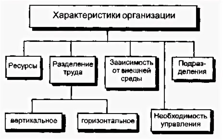 7 элементов организации