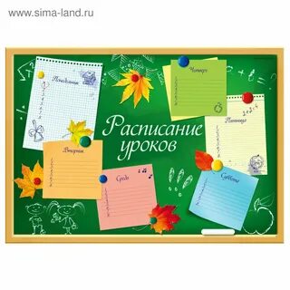 Расписание уроков 8 класс 2024 2025