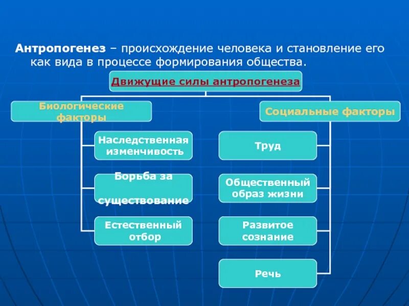 Антропогенез человека 9 класс. Антропогенез. Происхождение человека Антропогенез. Происхождение человечества Антропогенез. Антропогенез становление человека.