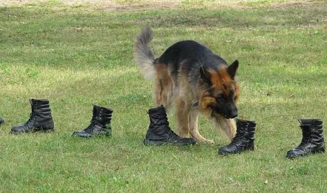 ребенок ворует. люди нюхающие чужие вещи. доверие ребенка к родителям. без спроса не бери чужое. ребенок доверяет взрослому.