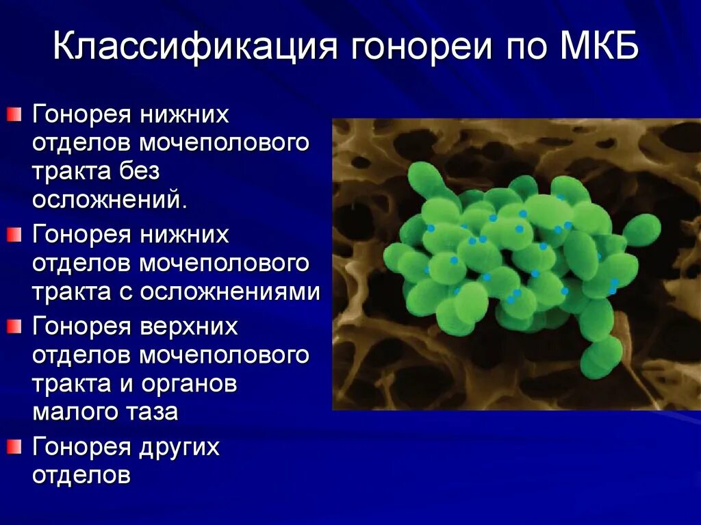 Классификация гонореи. Гонорея нижних отделов мочеполового тракта. Классификация гонореи по локализации. Осложнения гонореи