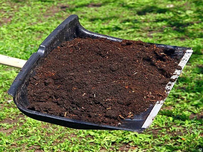 Плодородие чернозёма выщелоченного. Природные почвы чернозем. Черноземы почвы гумус. Природные почвы чернозем. Плодородная земля.