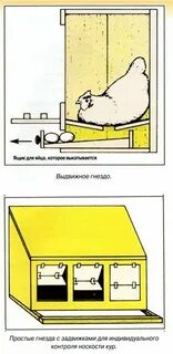 Яйцесборник для несушек своими руками