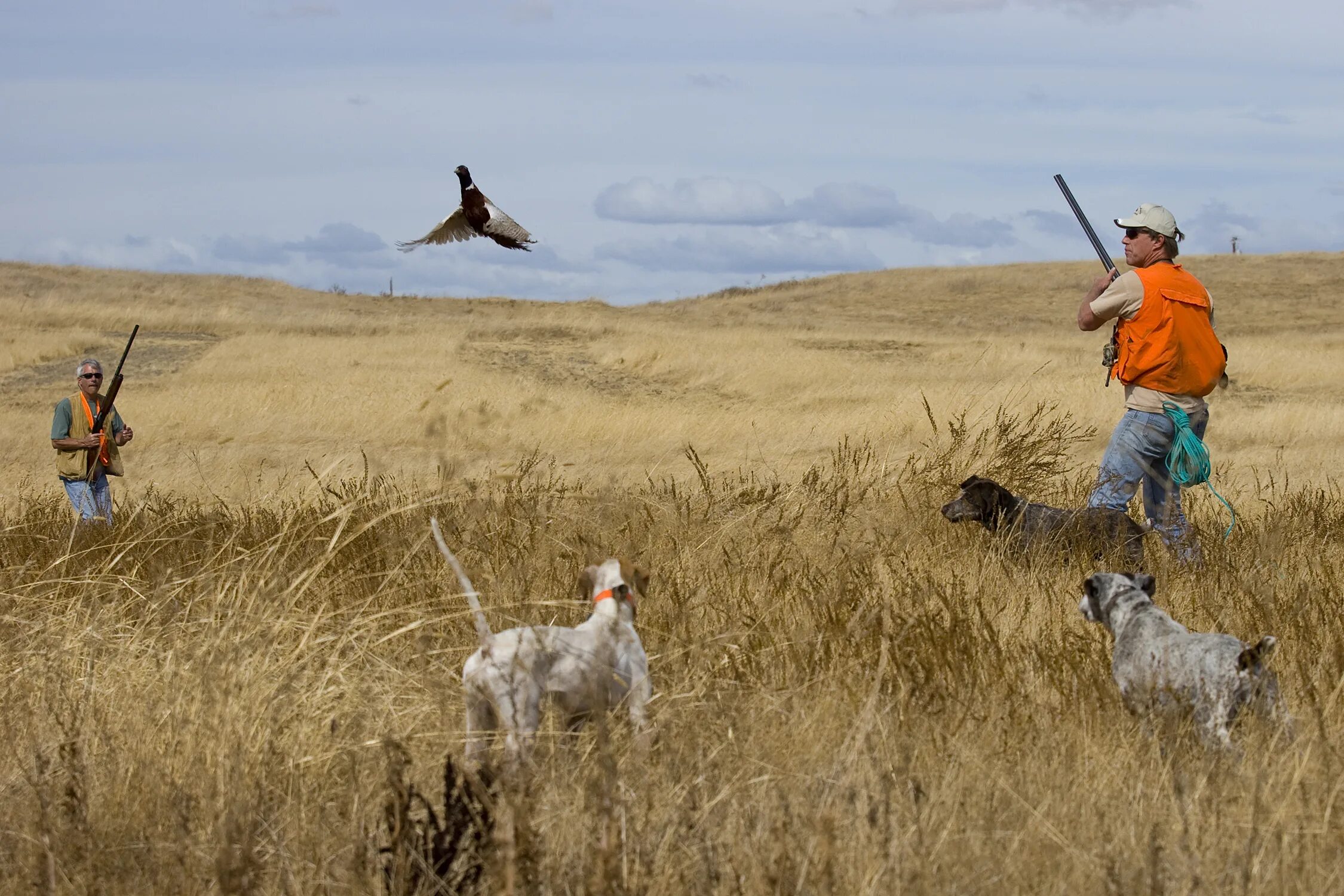 Hunting models