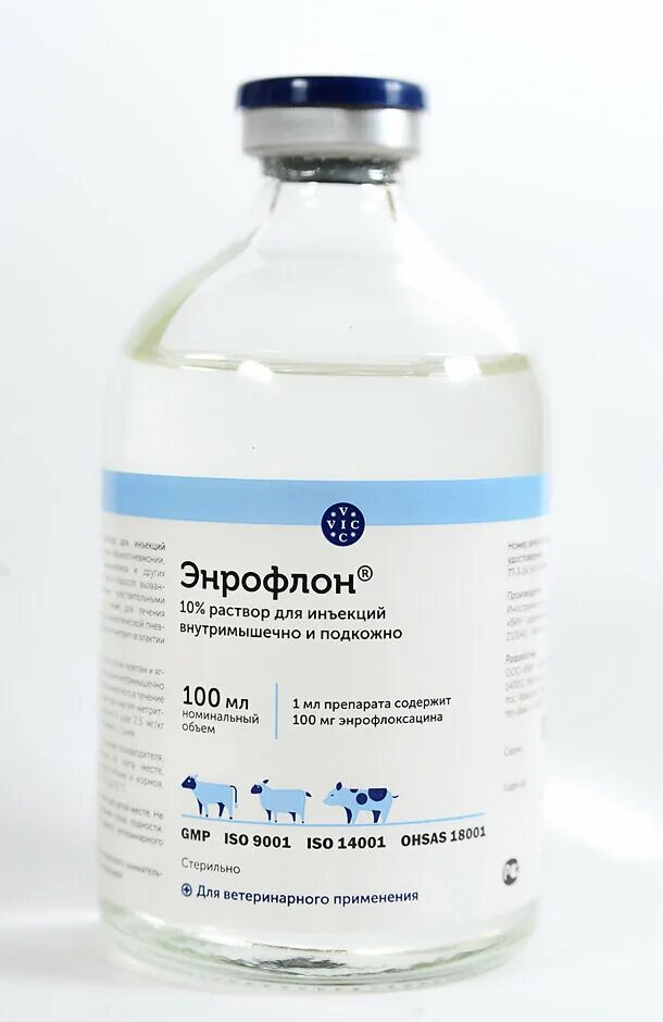 Антибиотик для птиц энрофлон. Энрофлон 10% 10мл оральный. Энрофлон применение птице. Лекарство для птицы энрофлон. Энрофлон суспензия.