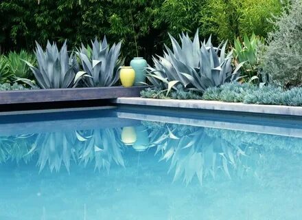 Plant pool