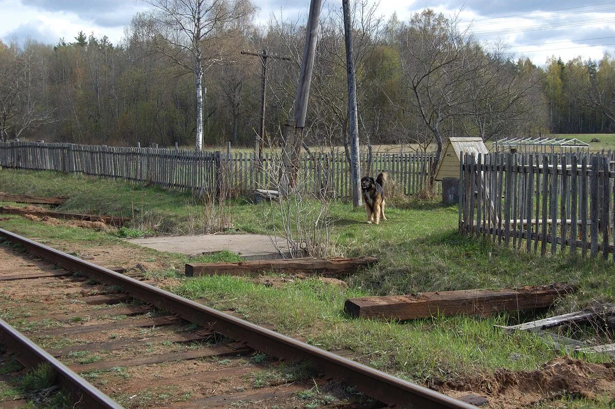 124 км платформа маскарад. Жд станция лебзино. 124 километр. Платформа 124 км. Станция 124 км савеловского.