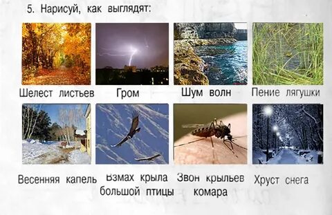 Шум шороха