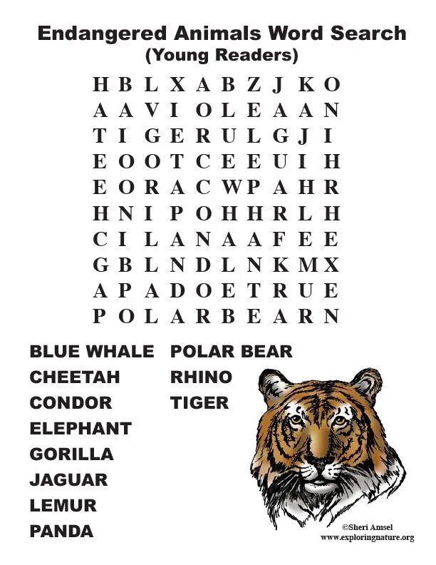 Animals in danger at present. Endangered animals Worksheets. Wordsearch endangered species. Endangered animals упражнения. Animal Wordsearch.